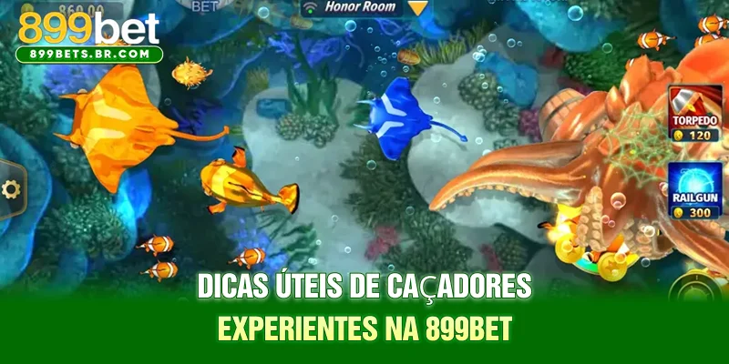 Dicas úteis de caçadores experientes na 899BET